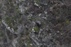 dsc_0004.jpg
