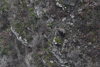 dsc_0005.jpg