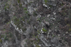 dsc_0006.jpg