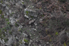 dsc_0007.jpg