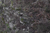 dsc_0010.jpg