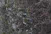 dsc_0011.jpg