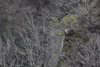 dsc_0012.jpg