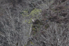 dsc_0013.jpg