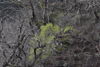 dsc_0014.jpg