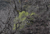 dsc_0015.jpg