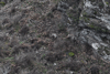 dsc_0016.jpg
