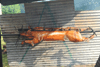 dsc_0012.jpg