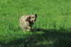 dsc_0003.jpg