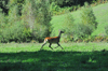 dsc_0007.jpg