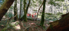 dsc_0003.jpg