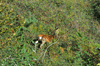 dsc_0007.jpg