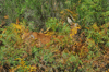 dsc_0021.jpg