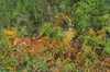 dsc_0022.jpg