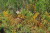 dsc_0024.jpg