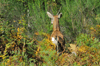 dsc_0025.jpg