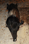 dsc_0028.jpg