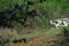 dsc_0002.jpg