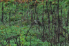 dsc_0007.jpg
