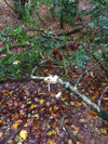 dsc_0027.jpg