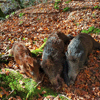dsc_0014.jpg