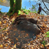 dsc_0015.jpg