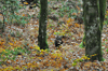 dsc_0033.jpg