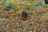 dsc_0034.jpg