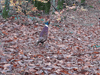 dsc_0037.jpg