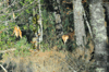 dsc_0003.jpg