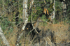 dsc_0004.jpg