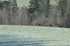 dsc_0007.jpg