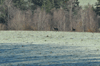 dsc_0008.jpg