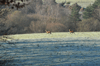 dsc_0010.jpg