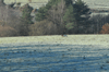 dsc_0011.jpg