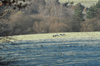 dsc_0012.jpg