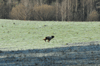 dsc_0013.jpg
