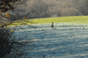 dsc_0017.jpg