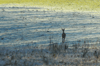 dsc_0019.jpg