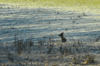 dsc_0020.jpg