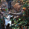 dsc_0031.jpg
