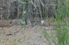 dsc_0016.jpg