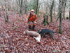 dsc_0024.jpg