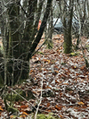dsc_0027.jpg