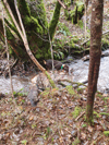 dsc_0029.jpg