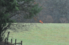 dsc_0001.jpg