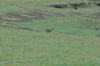 dsc_0002.jpg
