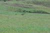 dsc_0003.jpg
