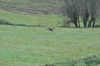 dsc_0004.jpg