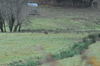 dsc_0005.jpg